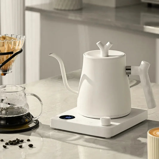 1-Liter Electric Gooseneck Kettle
